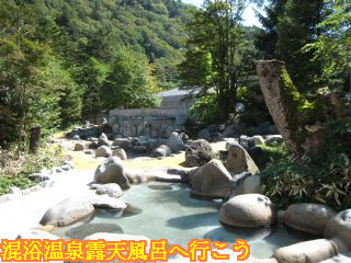 ひらゆの森露天風呂奥側を望む景色